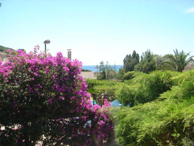 Villa Rosetta Chia Exterior photo